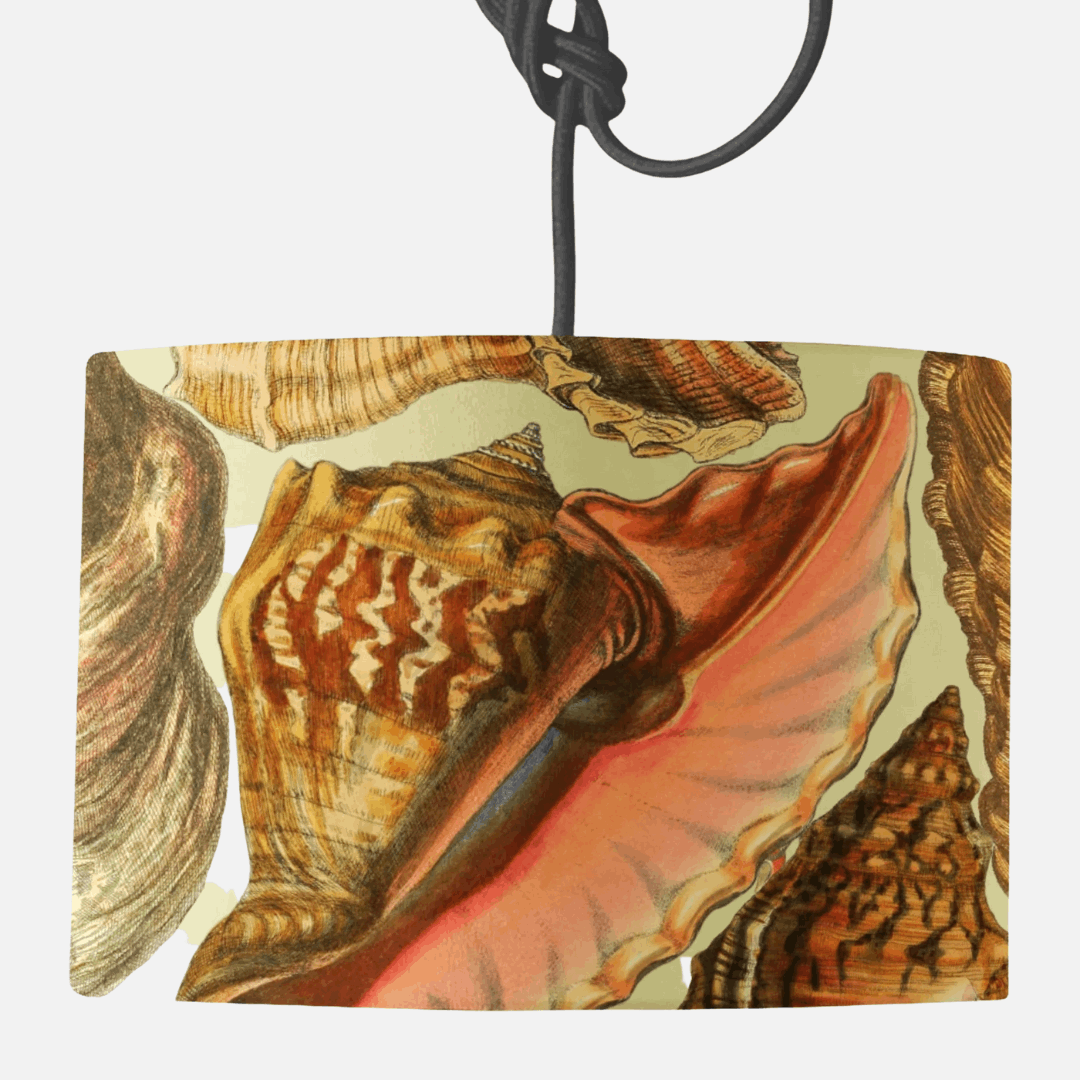 Shells Lampshade