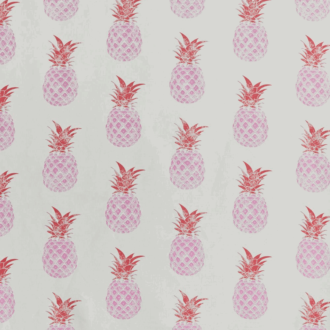 Pineapple | Pink/Red on Cream