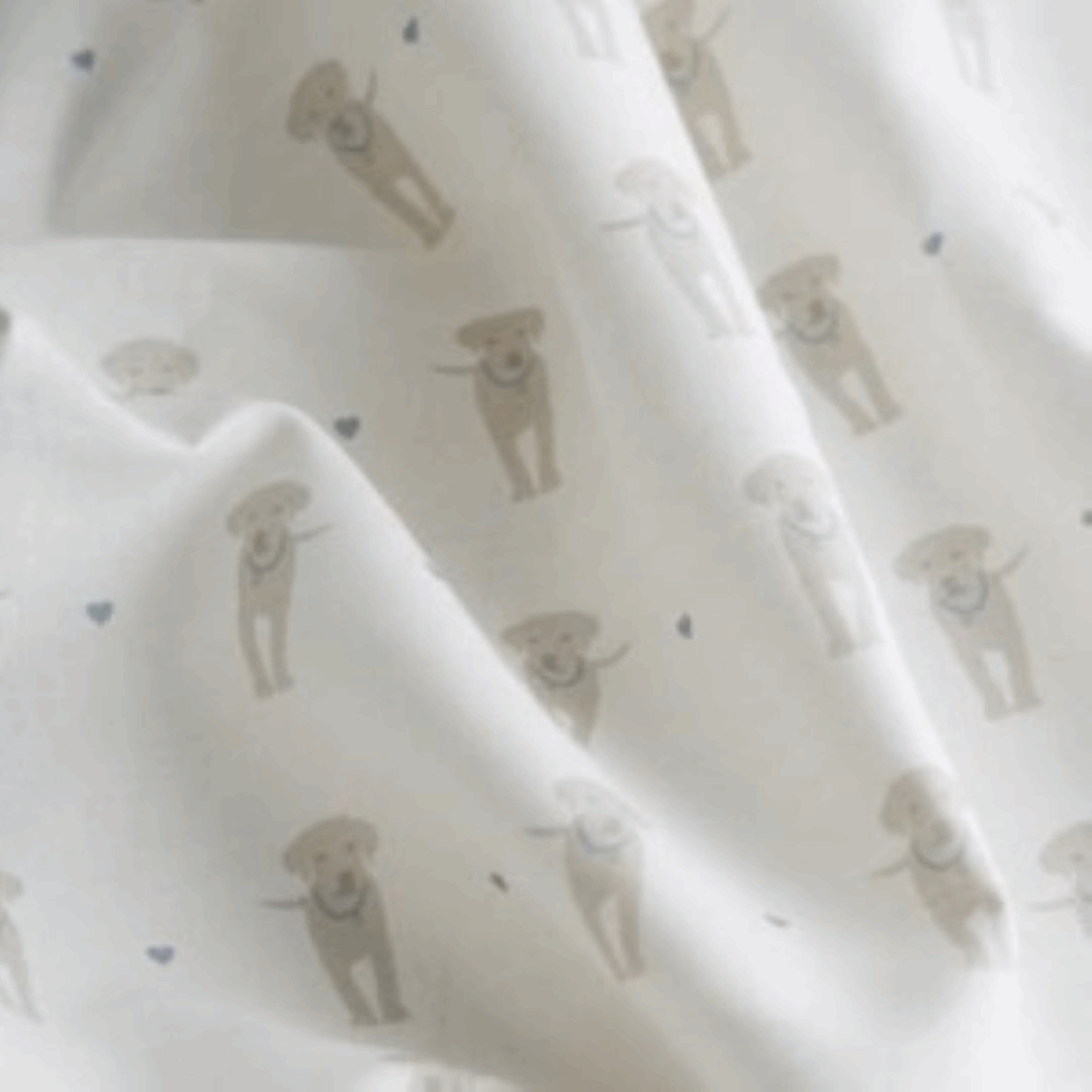 Puppy Love | Sand & Blue Grey