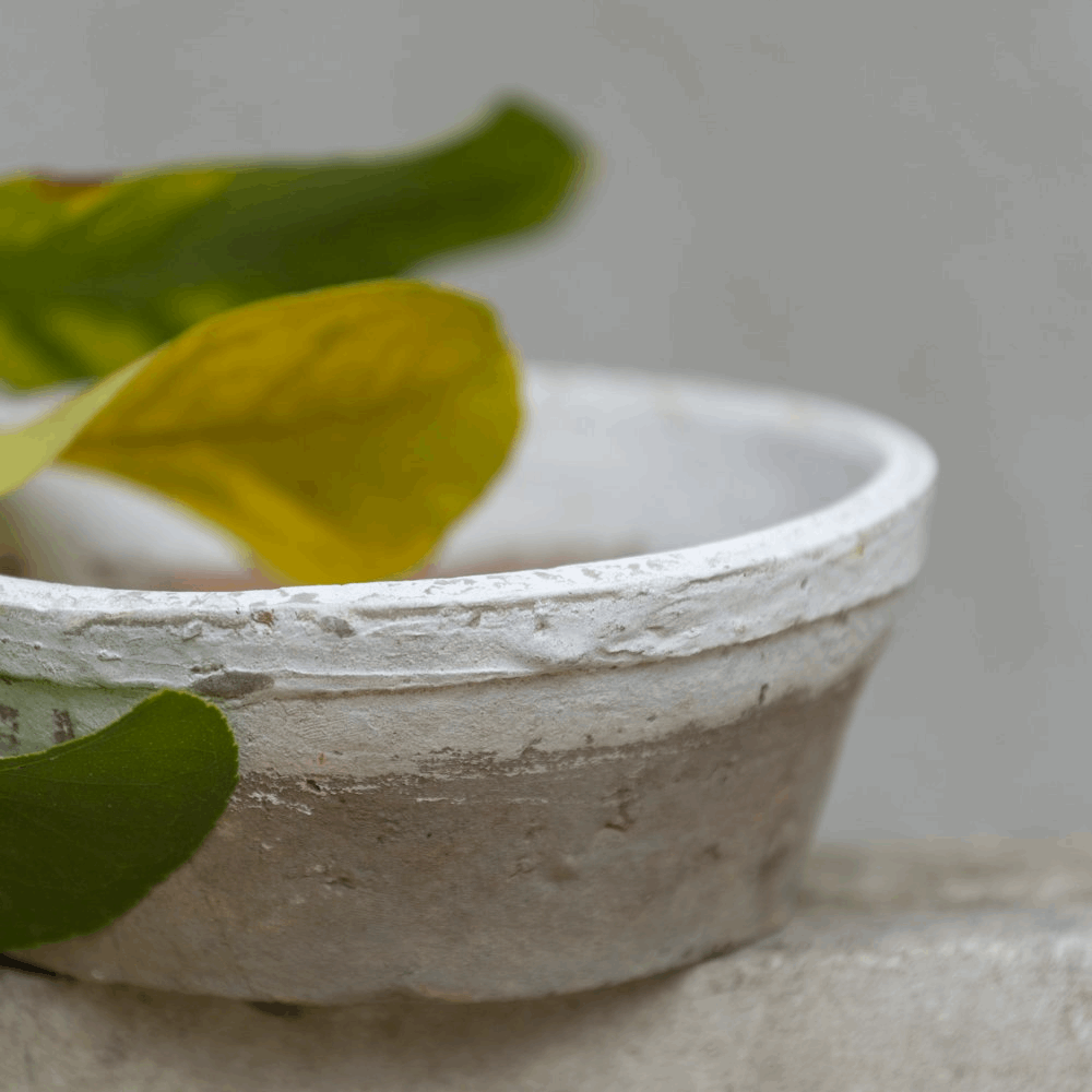 Antiqued Whitestone Dish Planter | Large