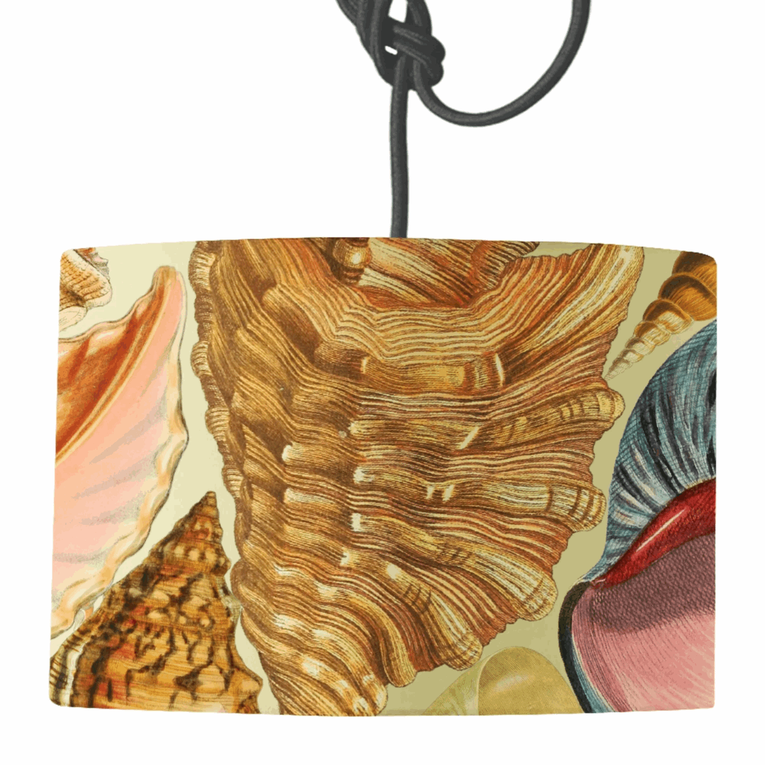 Shells Lampshade
