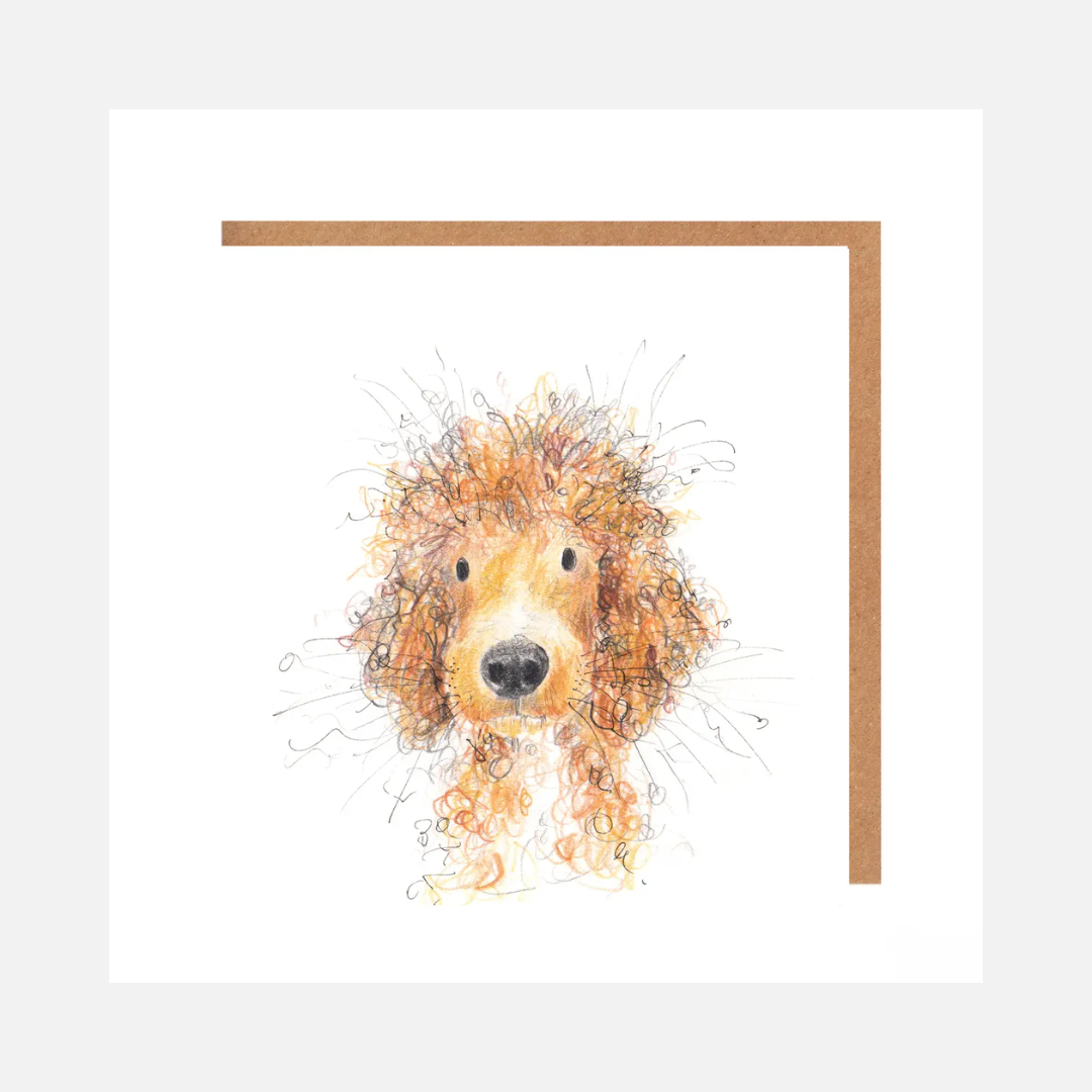 Cosmo Cockapoo | Card for all Occasions – Kitty & Gus