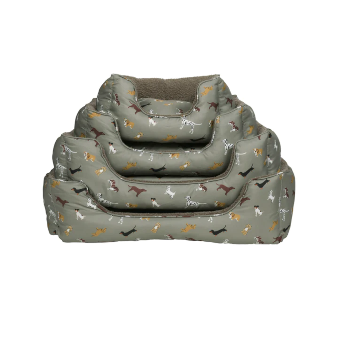 Fetch dog beds online