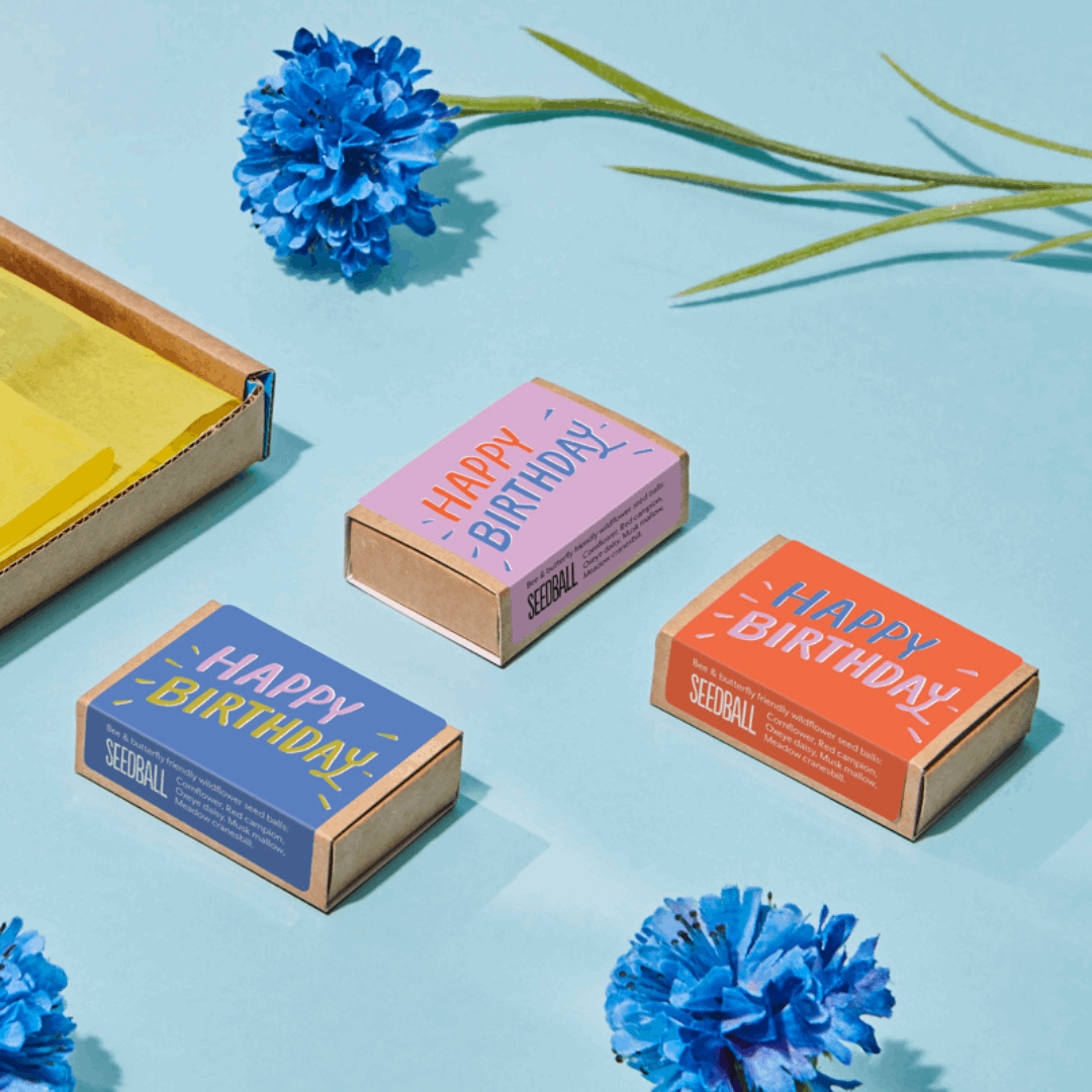 Seedball Wildflower Boxes | Happy Birthday Blue